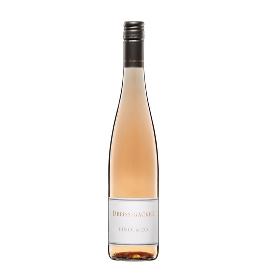 Dreissigacker »Pinot Noir« Rosé
